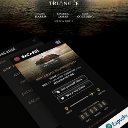 Bacardi Triangle - Responsive website
