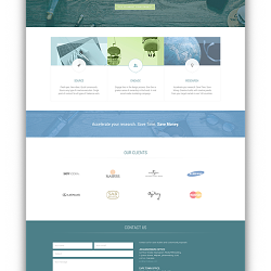WordPress Website