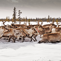 The Long Journey Home - Lonely Planet Magazine