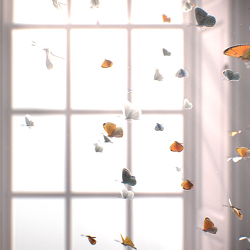Short 3D animation - Gone?