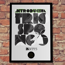 Trio SPongo Band Art