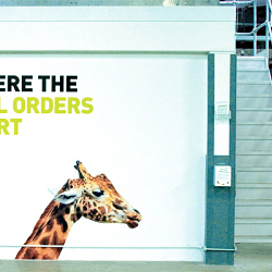 News International Workplace Environment Branding