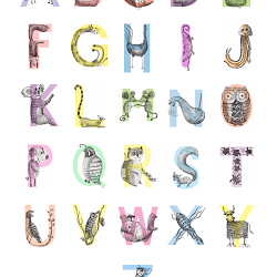 Illustrated alphabet for children