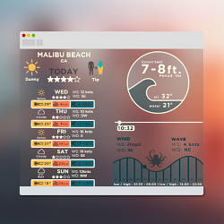 Surfer's App