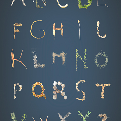 Alphabet of unconventional materials