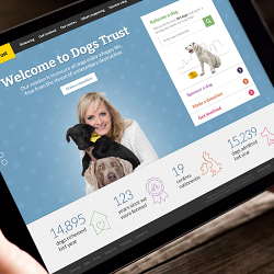 Responsive Web Design