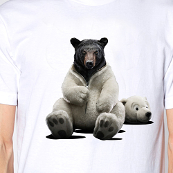 Kingo/Tshirts/clothing