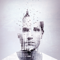 Manipulation Images