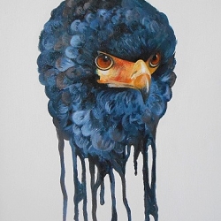 Birds of prey, personal project