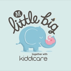 Logo for Morrisons 'Little Big' childrens products.