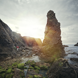 Tourism Ireland