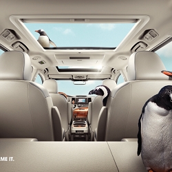 Toyota Sienna. Life's a zoo.