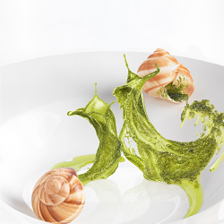 Snail Sauce