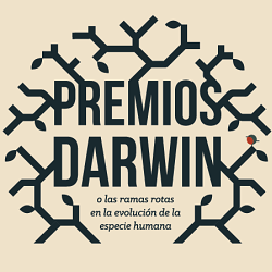 Darwin awards infographic