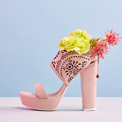 OYSBY Shoe Shoot