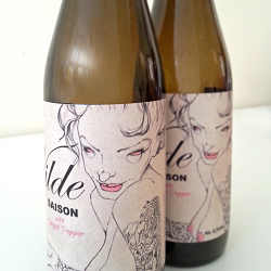 Wilde saison beer