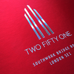 Two Fifty One website design