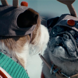 Asda - #BecauseitsChristmas "dogs"