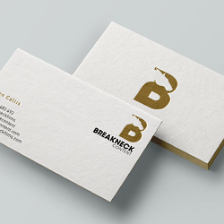 Breakneck content - Identity design
