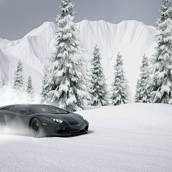 Aventador