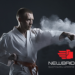Newbridge Karate Club Identity