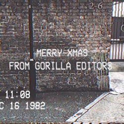 Gorilla Xmas Viral