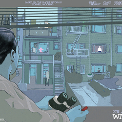 Rear Window Concepts
