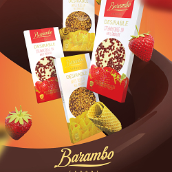 Exsport Chocolate Branding