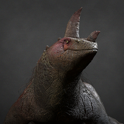 Creature Designs