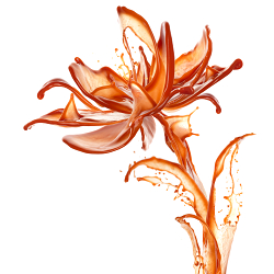 Spaghetti Flower
