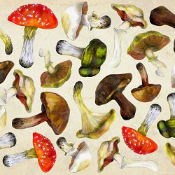 Shroomies
