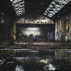 Urban Exploration.