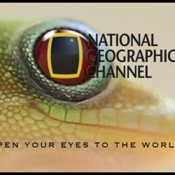 National Geographic Channel ident