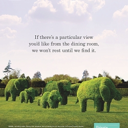 Advertising for Private Property Search (A Strutt & Parker brand).