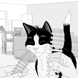 Felix: Animations. Digital & Social Content