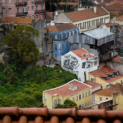 Lisbon Urban Nature