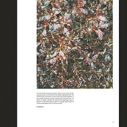 Photography Compendium 2016
