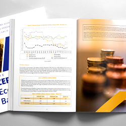 ZEPARU Economic Barometer Volume 19