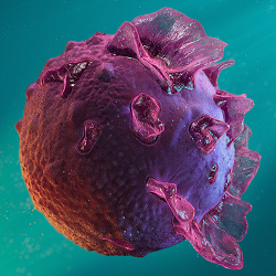 Viruses