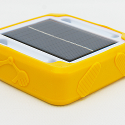 The Buddy Light