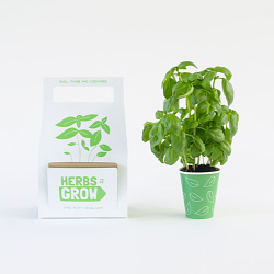 Herbs to Grow