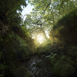 Landscapes: Odin's Gully