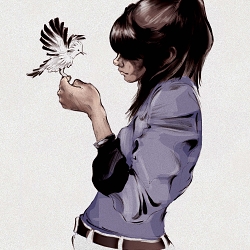 Illustrations 2016