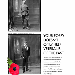 Portraits Behind the Poppy