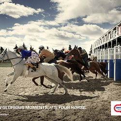 Horse Racing