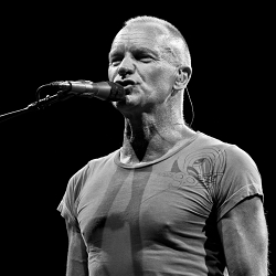 Sting