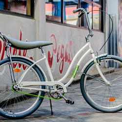 Pegas custom bike