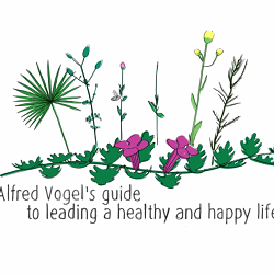 A.Vogel - Animated Brand Video - Script Writing