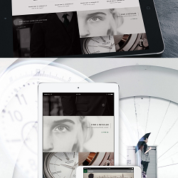 Rolex Web Site Concept