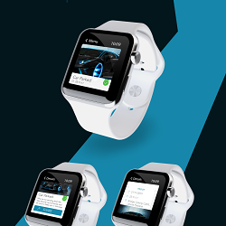 Cross Platform UX&UI Design, "My Vault" App,